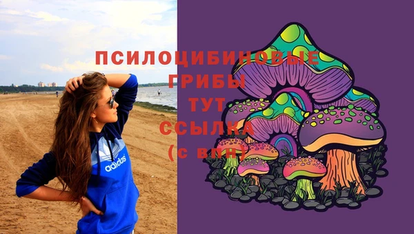 дживик Горно-Алтайск