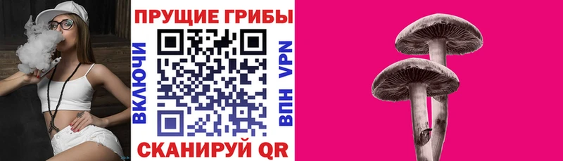 Галлюциногенные грибы мухоморы  Тула 
